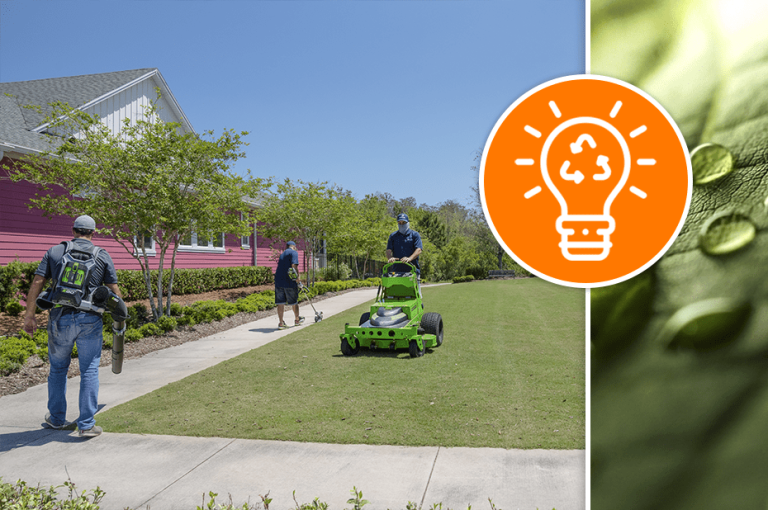 The benefits of no pollution lawn care
