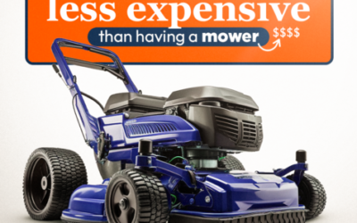 Professional Lawn Care vs. DIY Mowing: What’s Best for Your Yard?