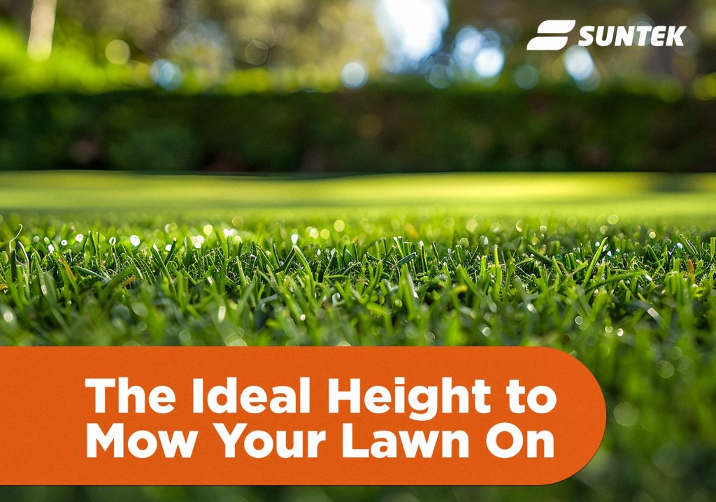 Do You Know the Ideal Height to Mow Your Lawn?