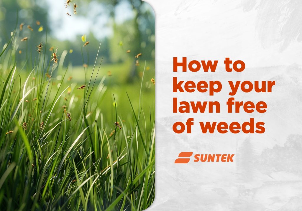 How to Keep Your Garden Free of Weeds