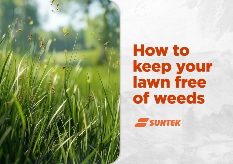 How to Keep Your Garden Free of Weeds