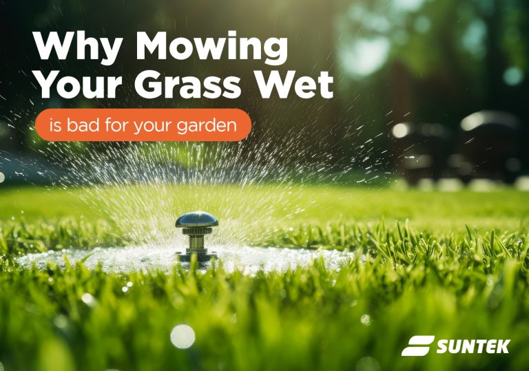 why mowing your grass wet is bad for your garden